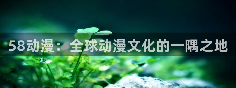 正版囧次元：58动漫：全球动漫文化的一隅之地