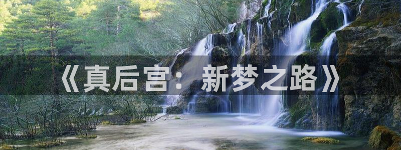 囧次元app下载：《真后宫：新梦之路》