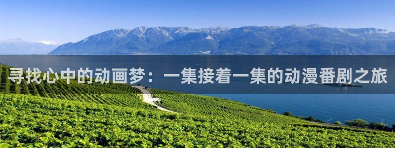 囧次元下：寻找心中的动画梦：一集接着一集的动漫番剧之旅