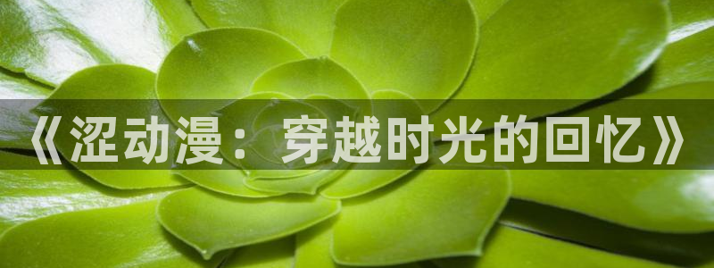 囧次元是什么：《涩动漫：穿越时光的回忆》