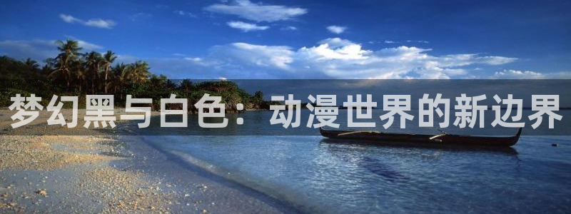 囧次元在线：梦幻黑与白色：动漫世界的新边界