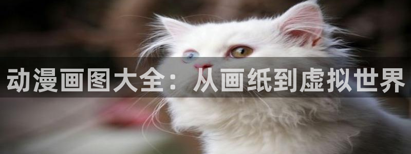 囧次元在线：动漫画图大全：从画纸到虚拟世界