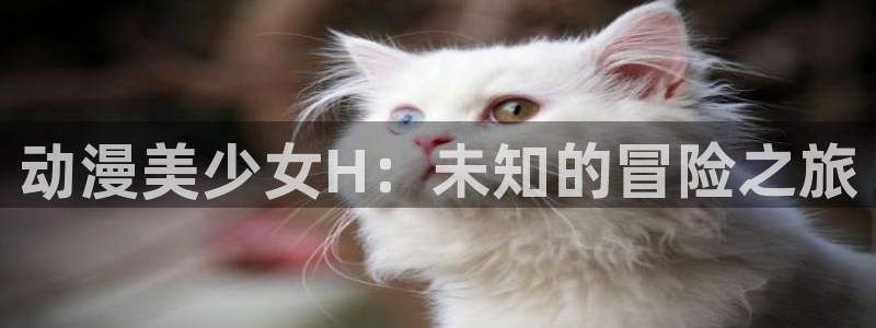 囧次元囧次元：动漫美少女H：未知的冒险之旅